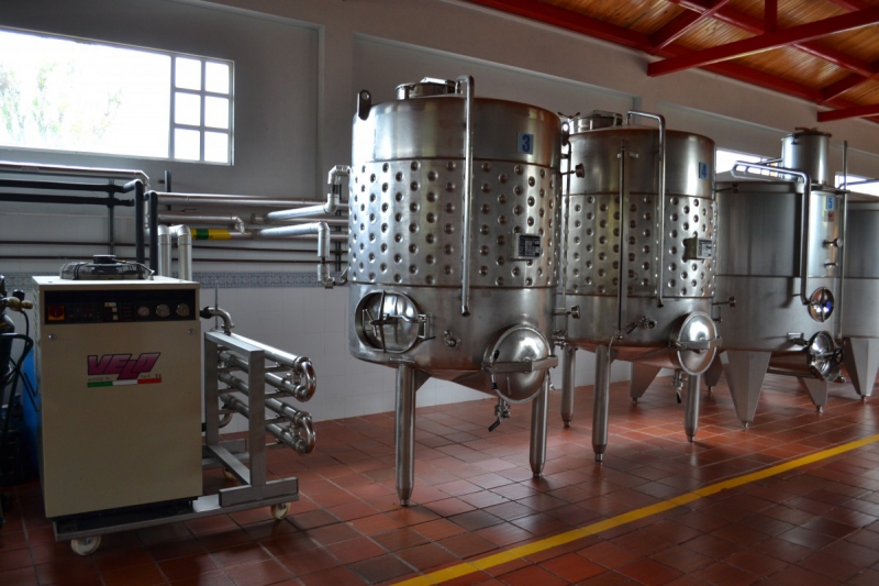 cave-LA MARTRE-min_wine_production_cantine_winery_drink_alcohol_vine_beverage-902036